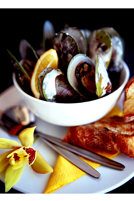 mussels mussels