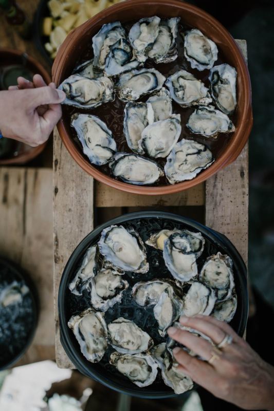 oysters on plates with hands from above