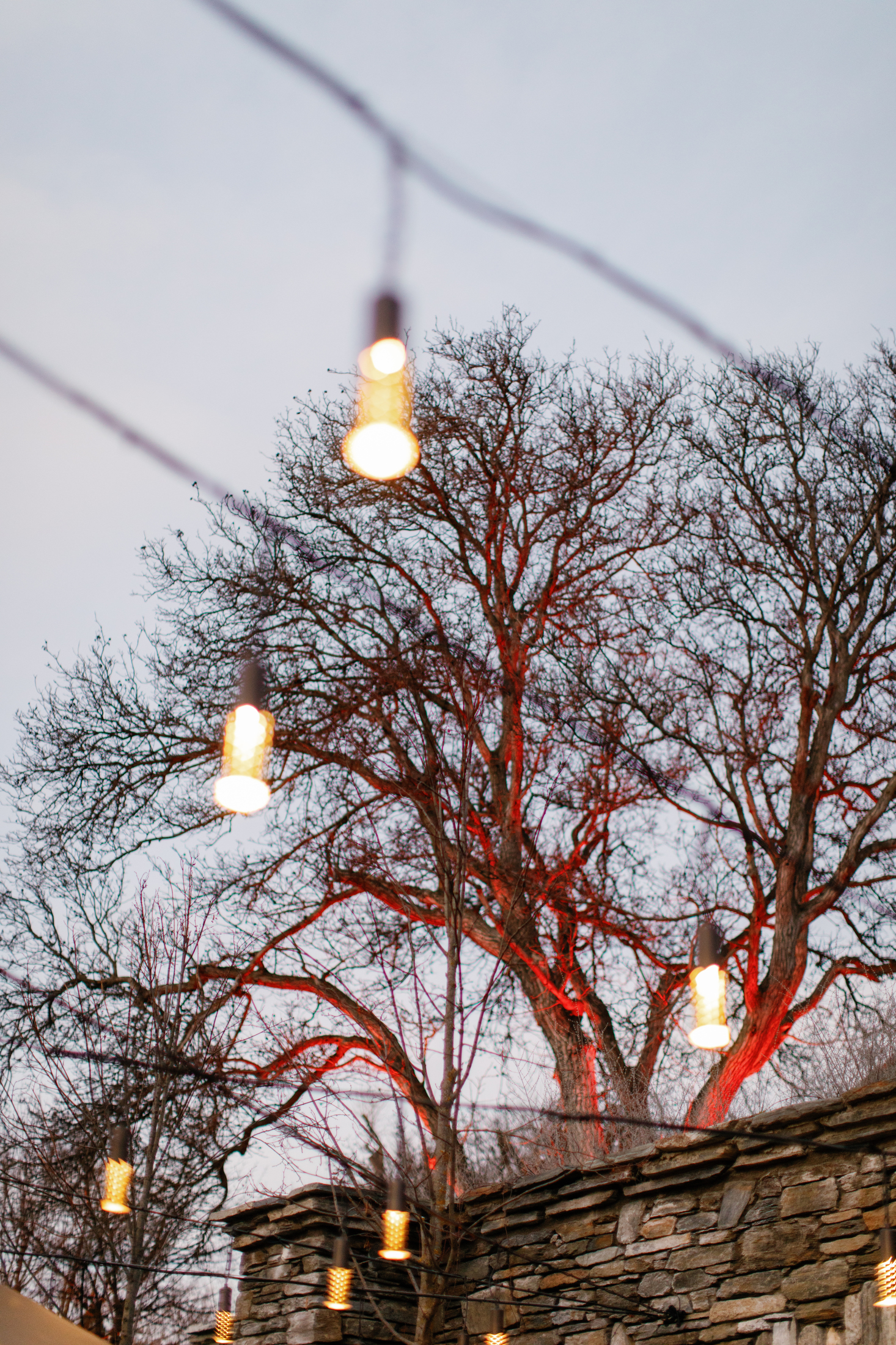 Ayrburn Garden Wedding Queenstown 007