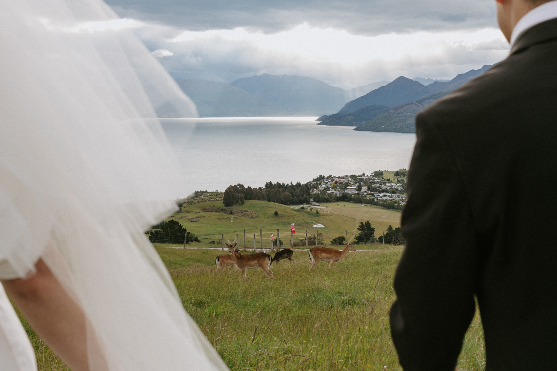 Deer Park Heights Wedding Queenstown 142