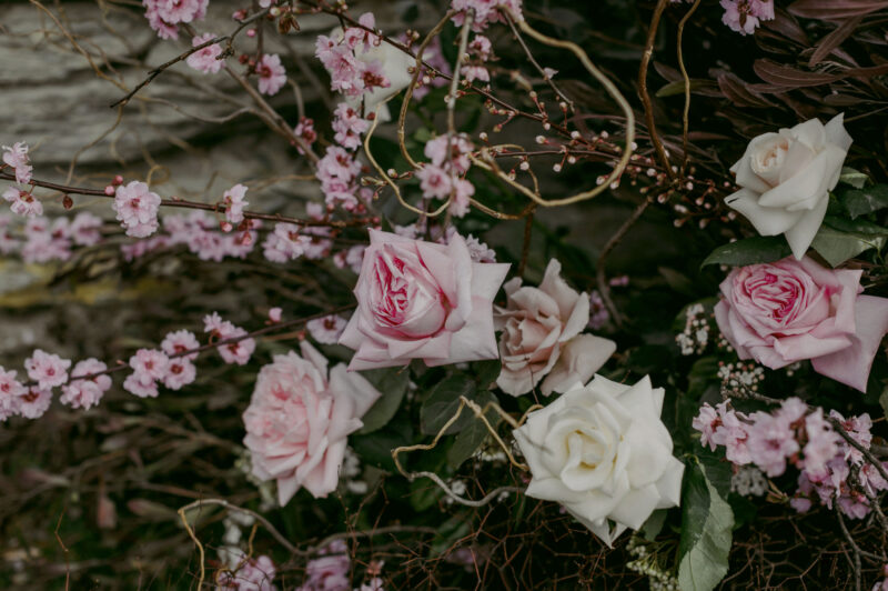 Close up of pink florals