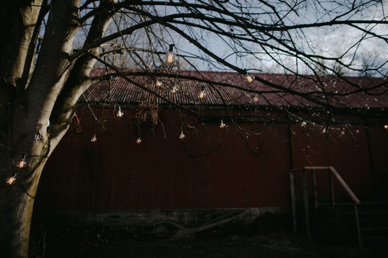 outside of venue with bulb lights hanging from trees