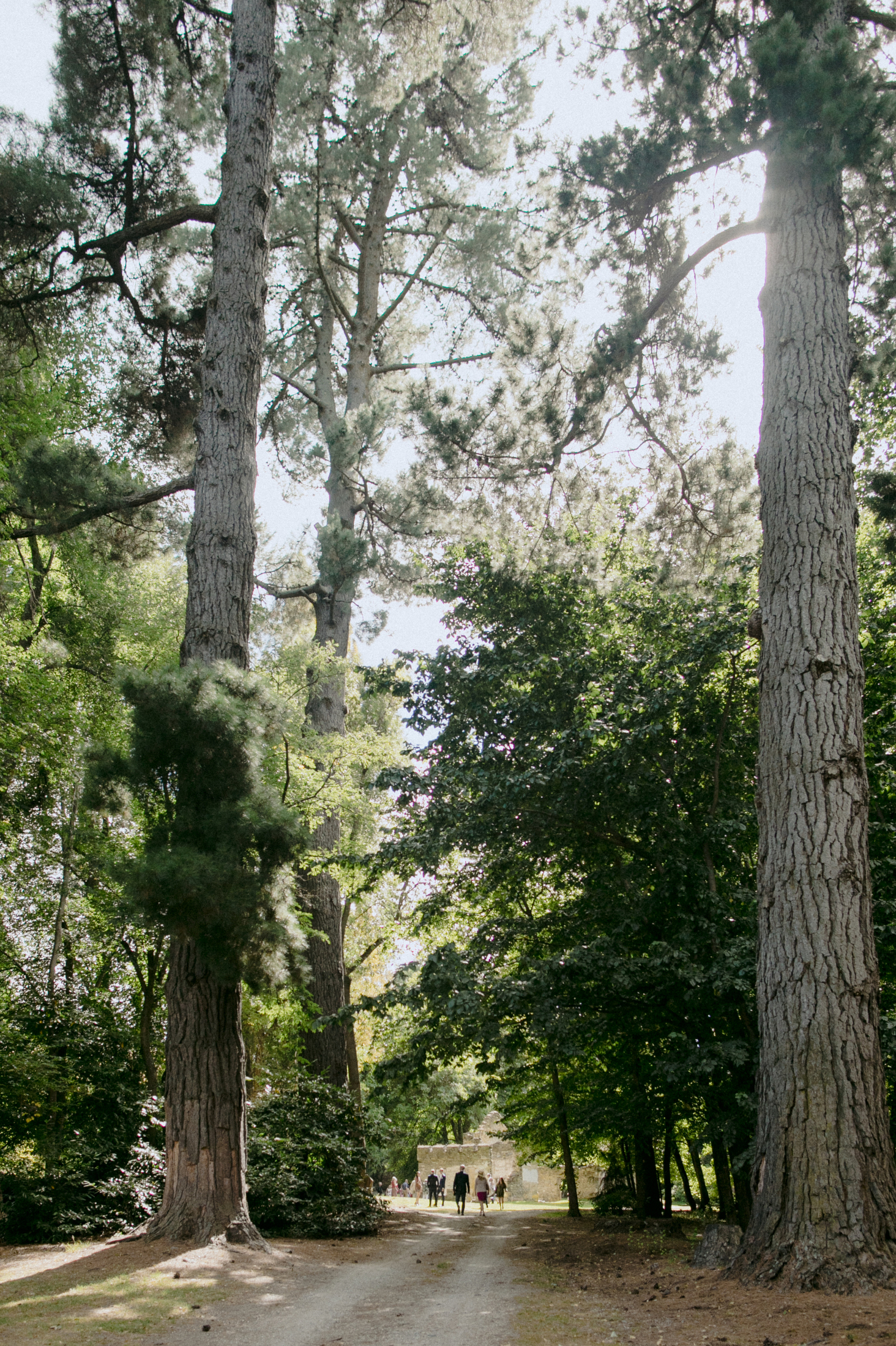 Thurlby Domain Wedding Queenstown 160