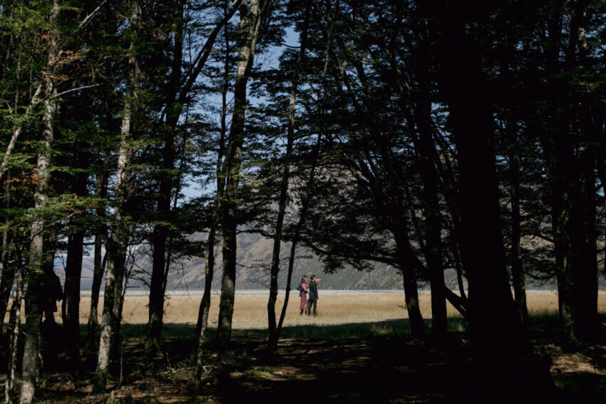 Silhouette of couple through trees