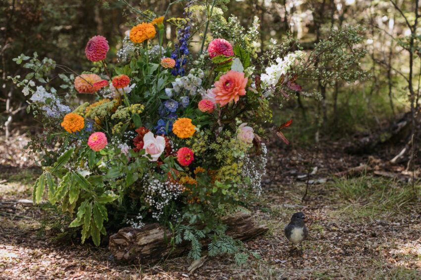 Flower arrangement in forrest with New Zealand robin or toutouwai