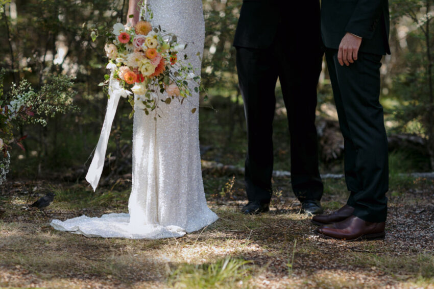 New Zealand robin or toutouwai at Bride and Grooms feet