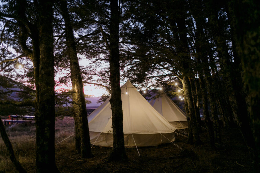 Tents amongst trees in forest with festoon lights