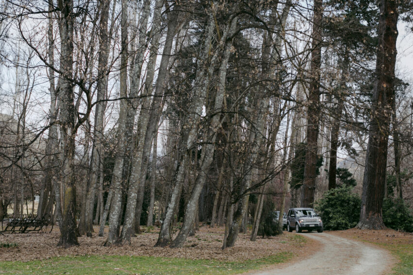 Wedding car arriving at Thurlby Domain through the tall trees
